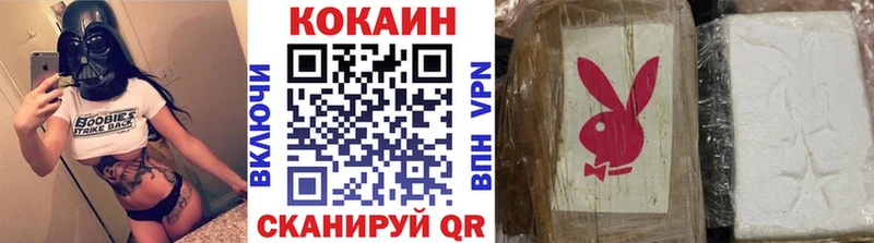 KRAKEN как зайти  Дмитриев  Cocaine Fish Scale 