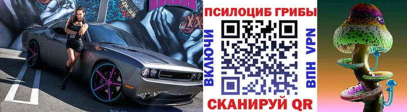 MEGA как войти  Дмитриев  Псилоцибиновые грибы GOLDEN TEACHER 